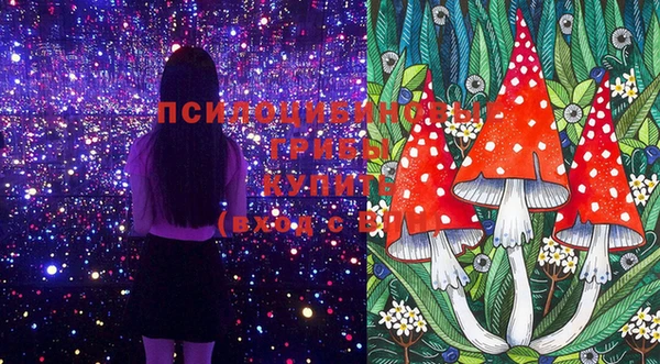 эйфоретик Абинск