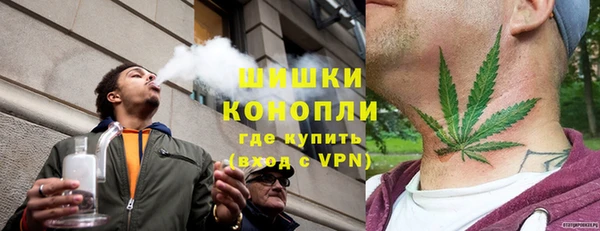 индика Надым