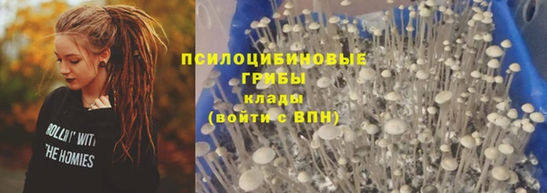 эйфоретик Абинск